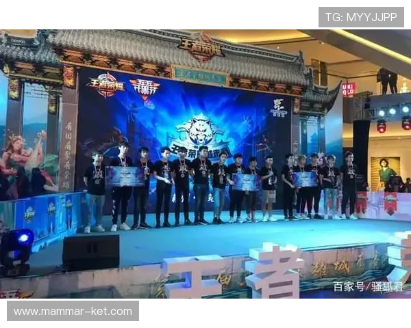 ag百家登录最新安全措施解析，确保玩家账号在登录过程中的信息安全与隐私保护